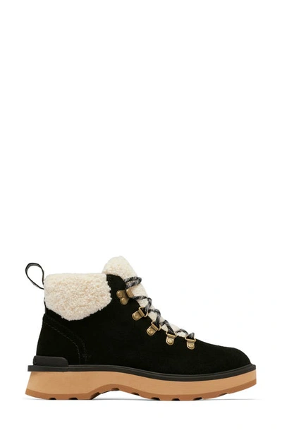 Shop Sorel Hi-line Cozy Lace-up Hiking Boot In Black/ Tawny Buff