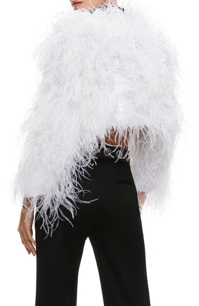 Shop Alice And Olivia Kidman Feather Crop Jacket In Off White