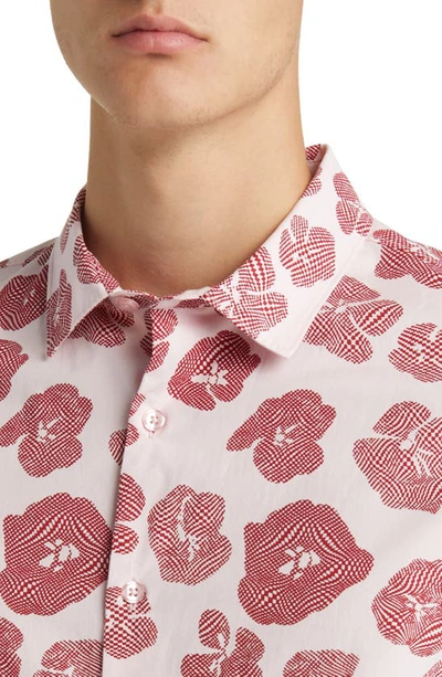 Shop Open Edit Geometric Poppy Print Stretch Poplin Camp Shirt In Pink- Burgundy Poppy Geo