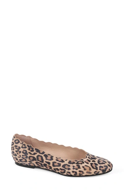 Shop Patricia Green Palm Beach Scalloped Ballet Flat In Leopard