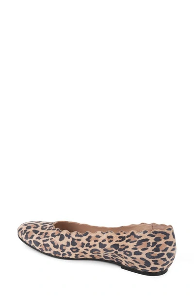 Patricia Green Palm Beach Scalloped Ballet Flat In Leopard