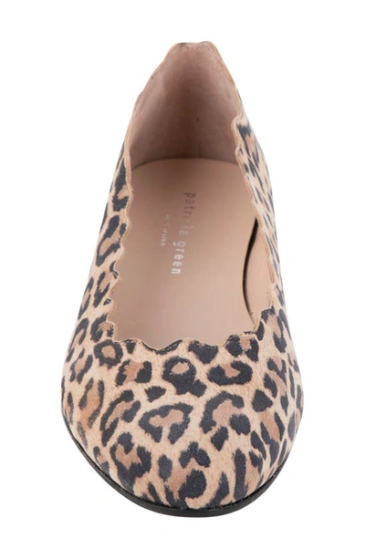 Shop Patricia Green Palm Beach Scalloped Ballet Flat In Leopard