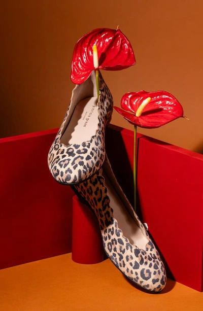 Patricia Green Palm Beach Scalloped Ballet Flat In Leopard