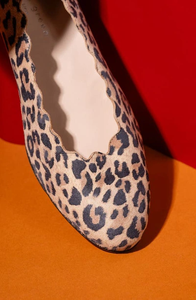 Patricia Green Palm Beach Scalloped Ballet Flat In Leopard