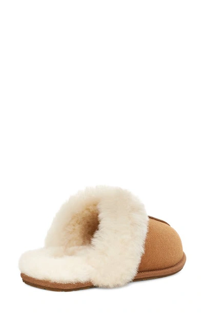 Ugg (r) Scuffette Ii Regenerate Genuine Shearling Slipper In Chestnut
