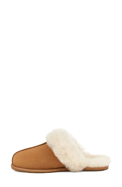 Ugg Scuffette Ii Regenerate Genuine Shearling Slipper In Chestnut | ModeSens