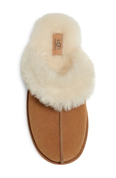 Ugg (r) Scuffette Ii Regenerate Genuine Shearling Slipper In Chestnut