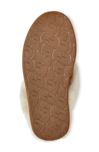 Ugg (r) Scuffette Ii Regenerate Genuine Shearling Slipper In Chestnut