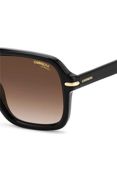 Shop Carrera Eyewear 55mm Gradient Square Sunglasses In Black/ Brown Gradient
