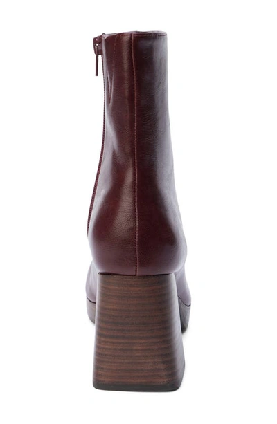 Shop Coconuts By Matisse Duke Platform Bootie In Bordeaux