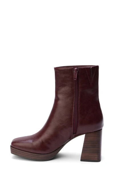 Shop Coconuts By Matisse Duke Platform Bootie In Bordeaux