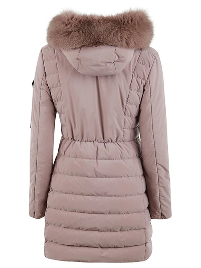 Shop Peuterey Coats Pink