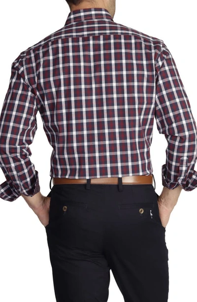 Tailorbyrd Regular Fit Gingham Stretch Cotton Button-down Shirt In Burgundy