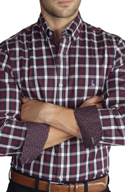Tailorbyrd Regular Fit Gingham Stretch Cotton Button-down Shirt In Burgundy