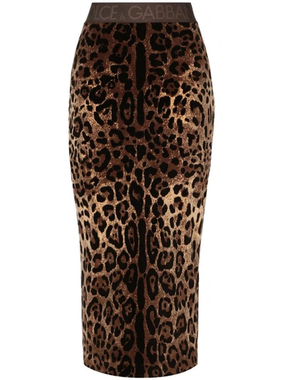 Shop Dolce & Gabbana Midi Skirt With Print In Brown