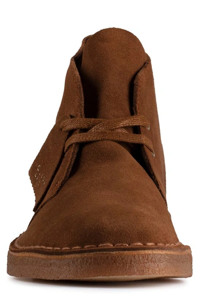 Clarks Desert Boot M In Cola Suede