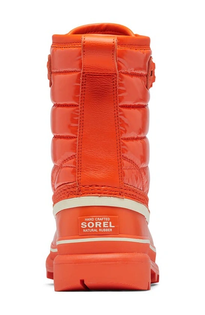 Shop Sorel Caribou Royal Waterproof Duck Boot In Optimized Orange/ Chalk