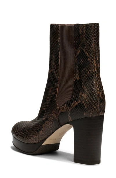 Donald Pliner Zelda Snake Embossed Platform Chelsea Boot In Cherry