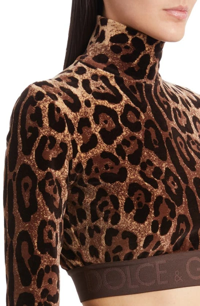Shop Dolce & Gabbana Leopard Print Long Sleeve Turtleneck Crop Top In Print Leo