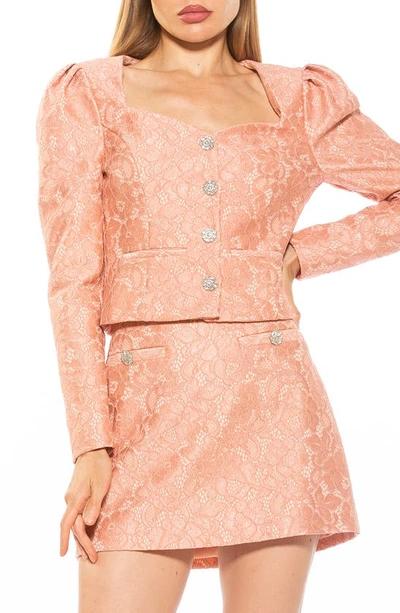 Shop Alexia Admor Rowan Lace Jacket In Pink