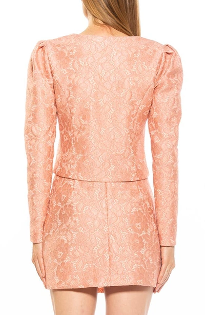 Shop Alexia Admor Rowan Lace Jacket In Pink