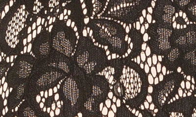 Alexia Admor Rowan Lace Jacket In Black