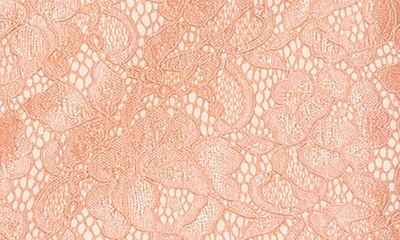 Alexia Admor Rowan Lace Jacket In Pink