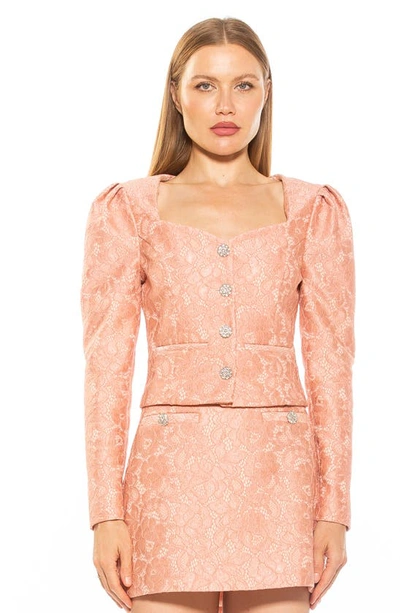 Shop Alexia Admor Rowan Lace Jacket In Pink