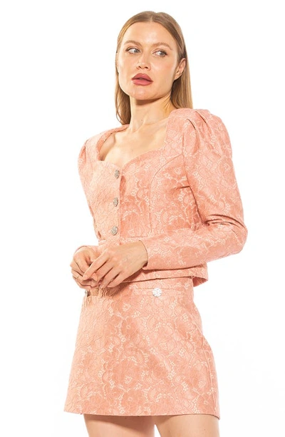 Shop Alexia Admor Rowan Lace Jacket In Pink