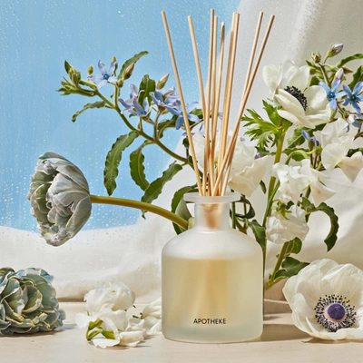 Apotheke Canvas Reed Diffuser In Default Title