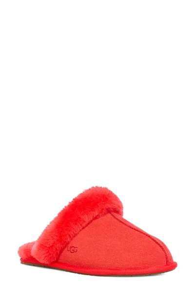 Shop Ugg Scuffette Ii Slipper In Cherry Pie