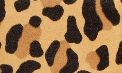 Shop Alaïa Le Papa Leopard Print Genuine Calf Hair Top Handle Bag In 157 Brun Sepia