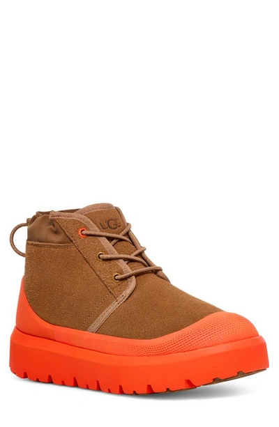 Shop Ugg Neumel Waterproof Hybrid Boot In Chestnut / Orange