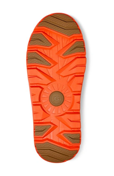 Shop Ugg Neumel Waterproof Hybrid Boot In Chestnut / Orange