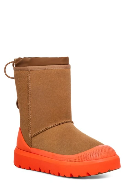 Shop Ugg Classic Short Hybrid Winter Boot In Chestnut / Orange