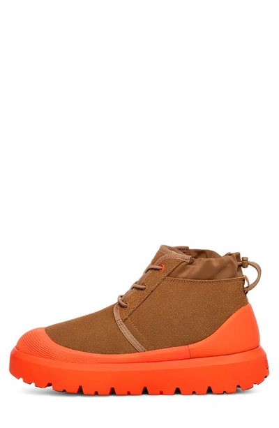 Shop Ugg Neumel Waterproof Hybrid Boot In Chestnut / Orange