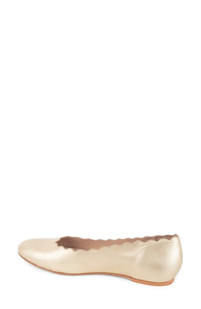 Shop Patricia Green Palm Beach Scalloped Ballet Flat In Gold