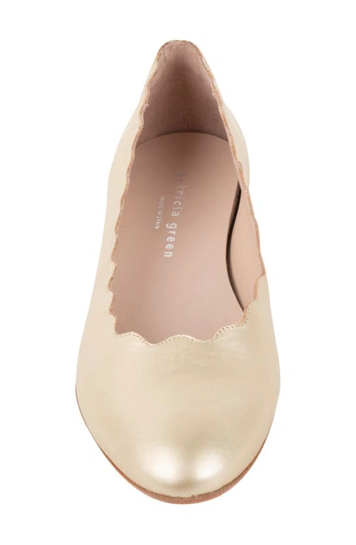 Shop Patricia Green Palm Beach Scalloped Ballet Flat In Gold