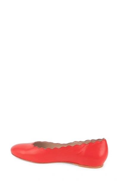 Shop Patricia Green Palm Beach Scalloped Ballet Flat In Red
