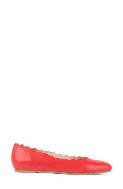 Shop Patricia Green Palm Beach Scalloped Ballet Flat In Red