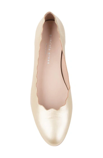 Shop Patricia Green Palm Beach Scalloped Ballet Flat In Gold