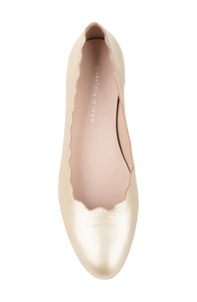 Patricia Green Palm Beach Scalloped Ballet Flat In Gold