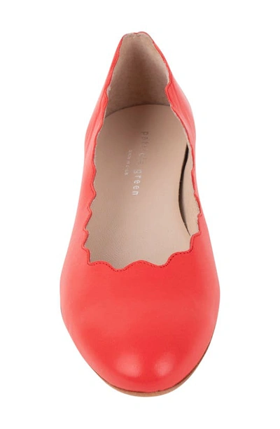 Shop Patricia Green Palm Beach Scalloped Ballet Flat In Red