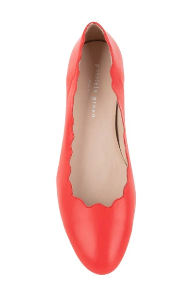 Patricia Green Palm Beach Scalloped Ballet Flat In Red