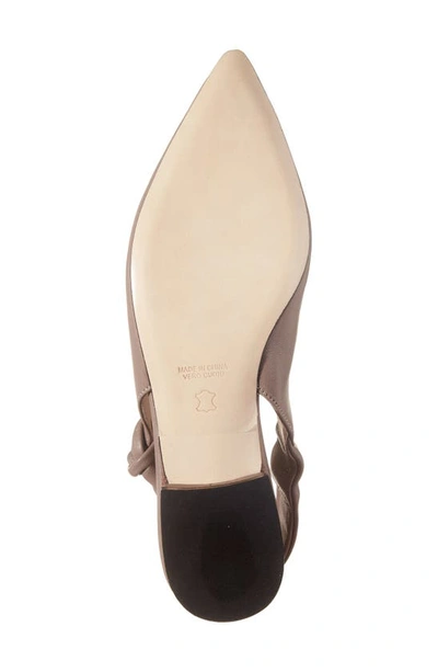 Shop Koko + Palenki Understated Slingback Pointed Toe Flat In Taupe Leather
