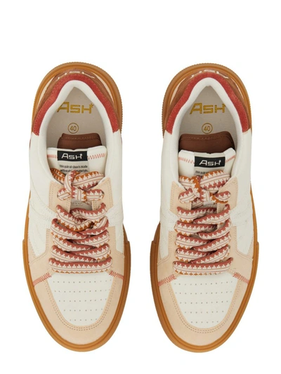 Shop Ash Sneaker With Logo In Multicolor