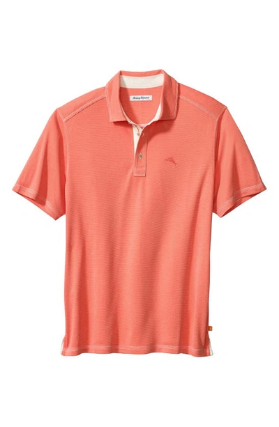Shop Tommy Bahama Paradiso Cove Stripe Polo In Ember Red