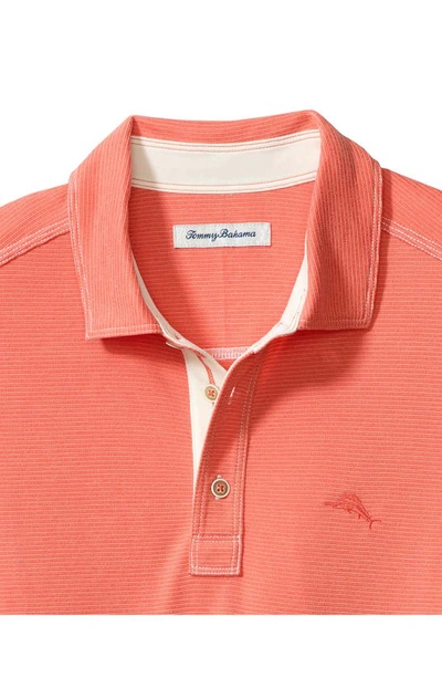 Shop Tommy Bahama Paradiso Cove Stripe Polo In Ember Red