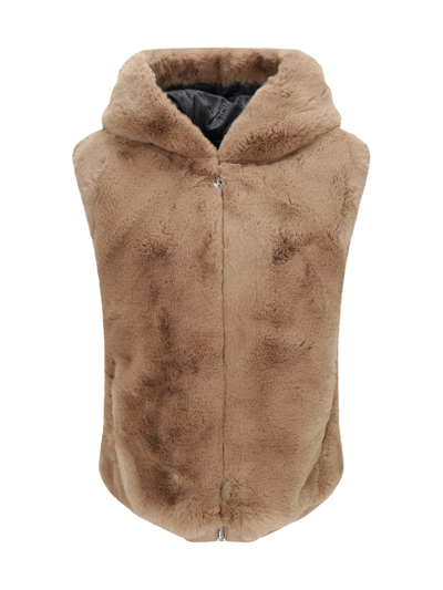 Shop Moose Knuckles State Bunny Vest Jacket In Woodsmoke