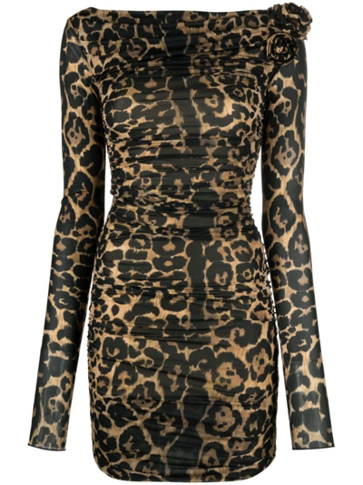 Shop Blumarine Rose-appliqué Leopard-print Dress In Multicolore